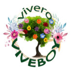 Vivero VIVEBOY